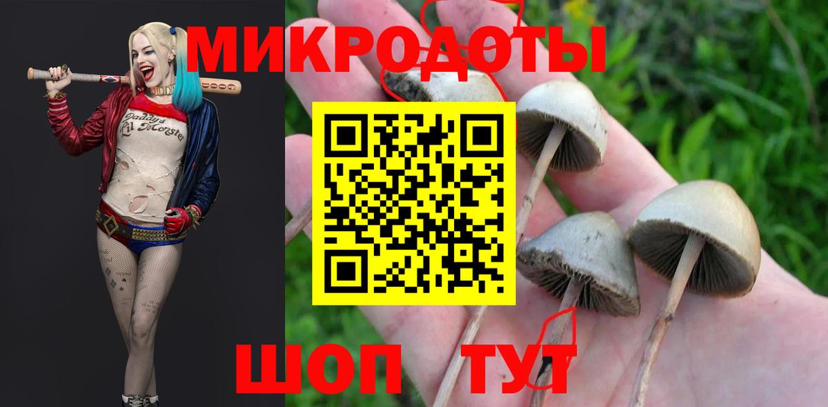 Десногорск  Псилоцибиновые грибы Magic Shrooms  дарнет шоп  Галлюциногенные грибы ЛСД  Вход с VPN 